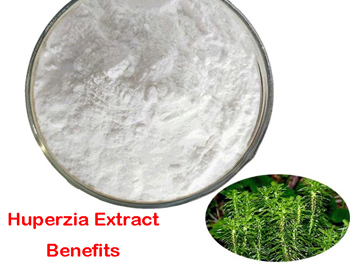 What Does Huperzia Serrata Extract Do?
